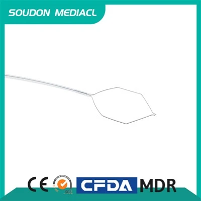 Laço de endoscópio